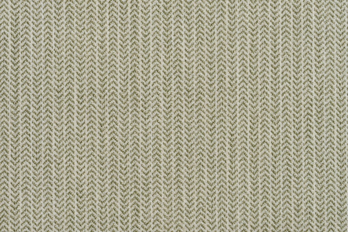 #color_Lichen