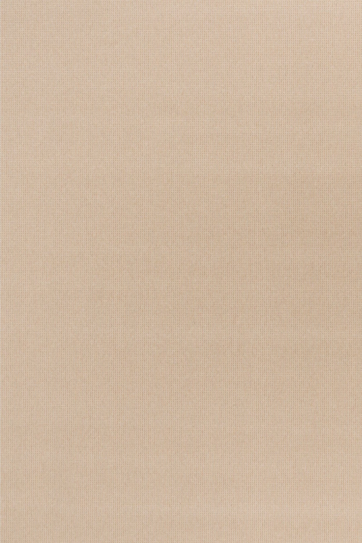 #color_Camel