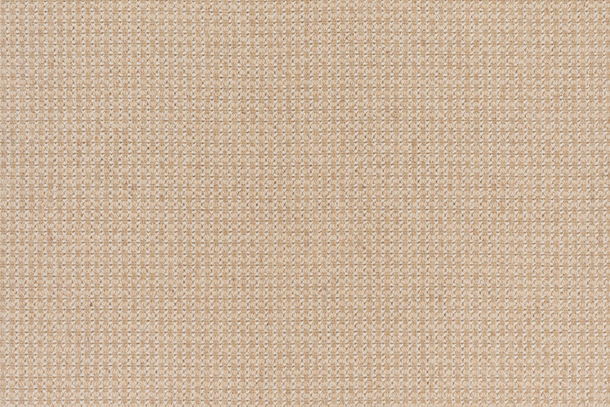 #color_Camel