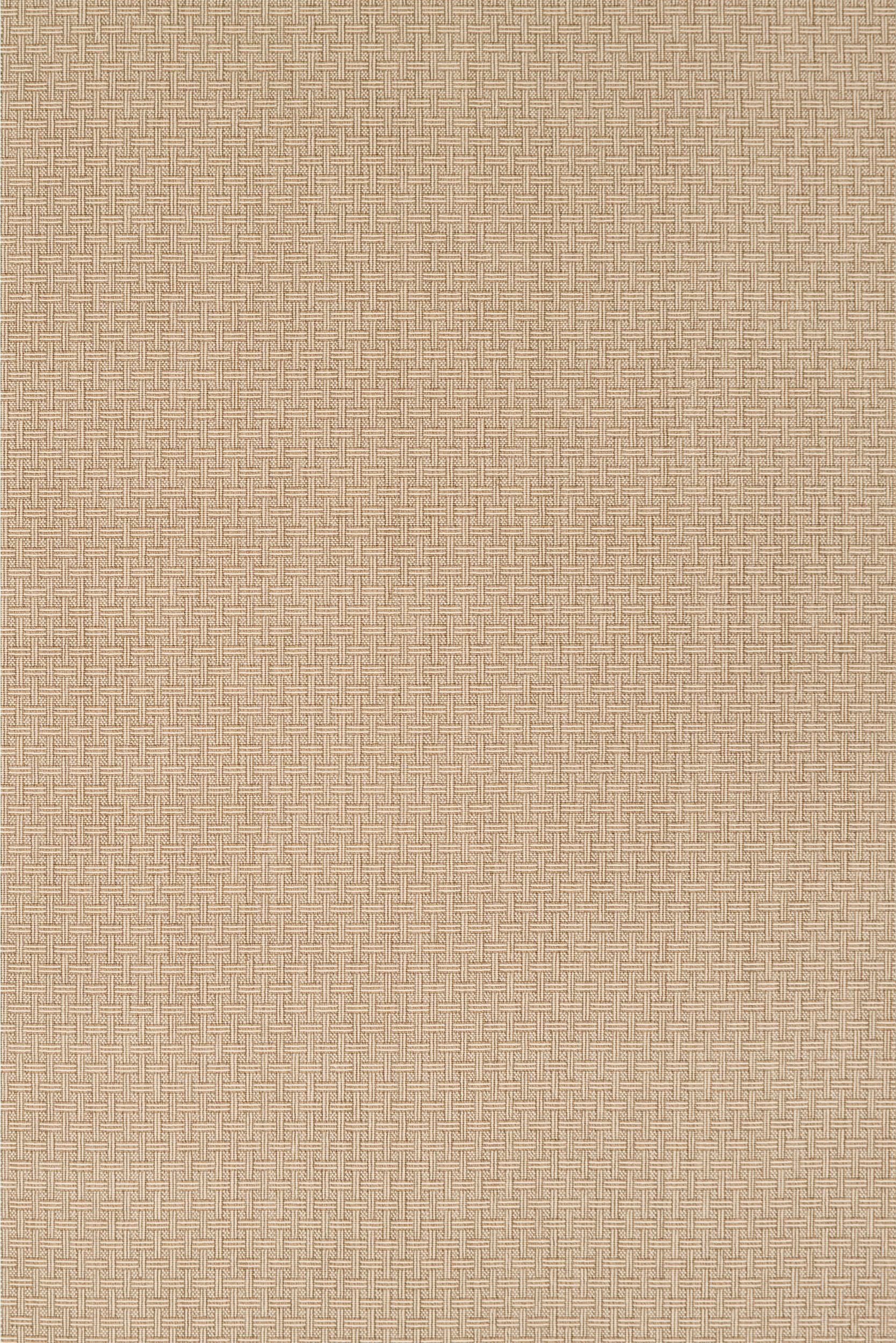 #color_Bisque