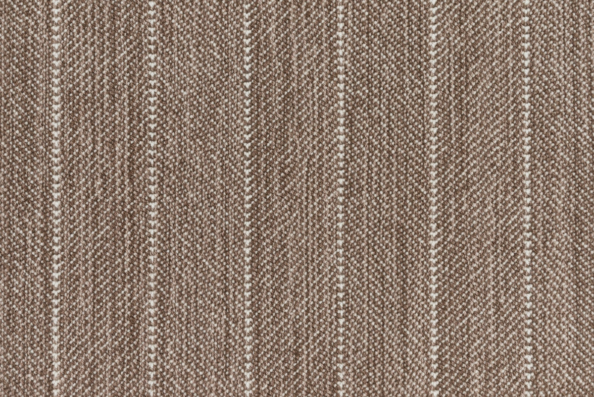 #color_Carob