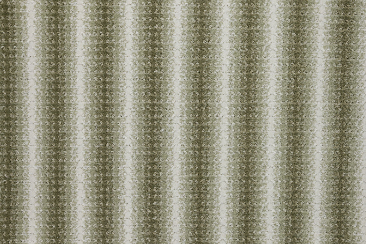 #color_Fern