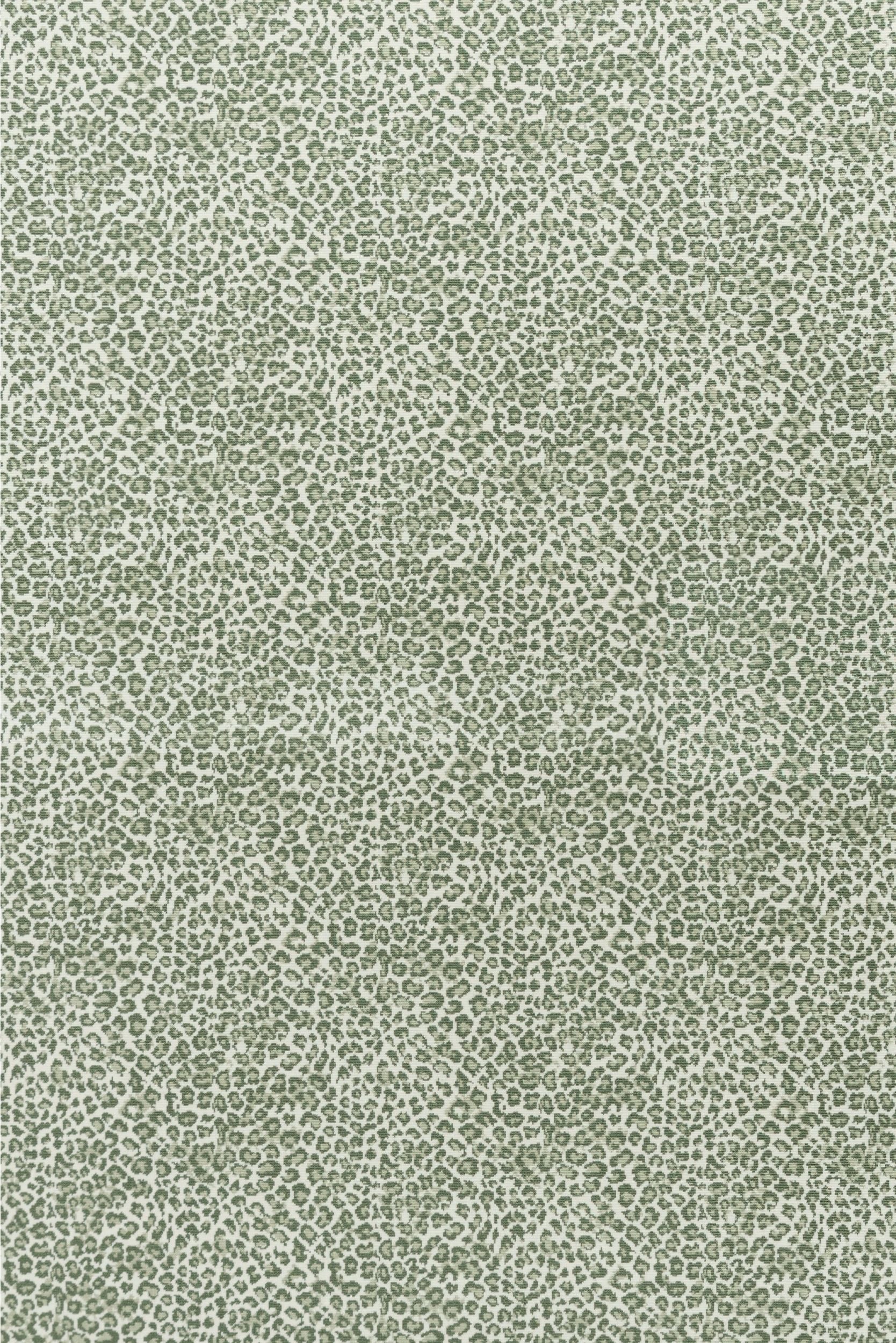 #color_Grass