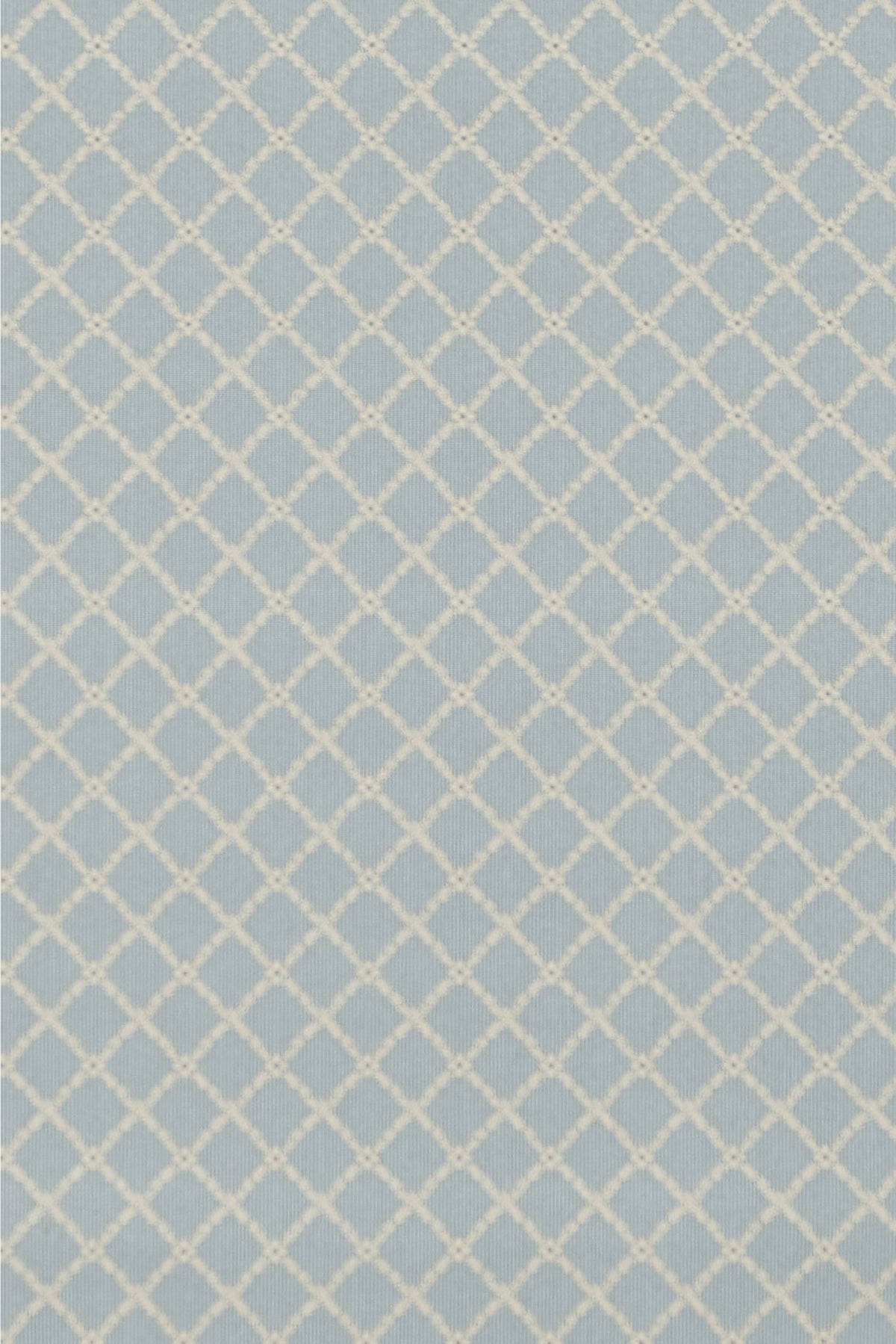 #color_Sky Blue