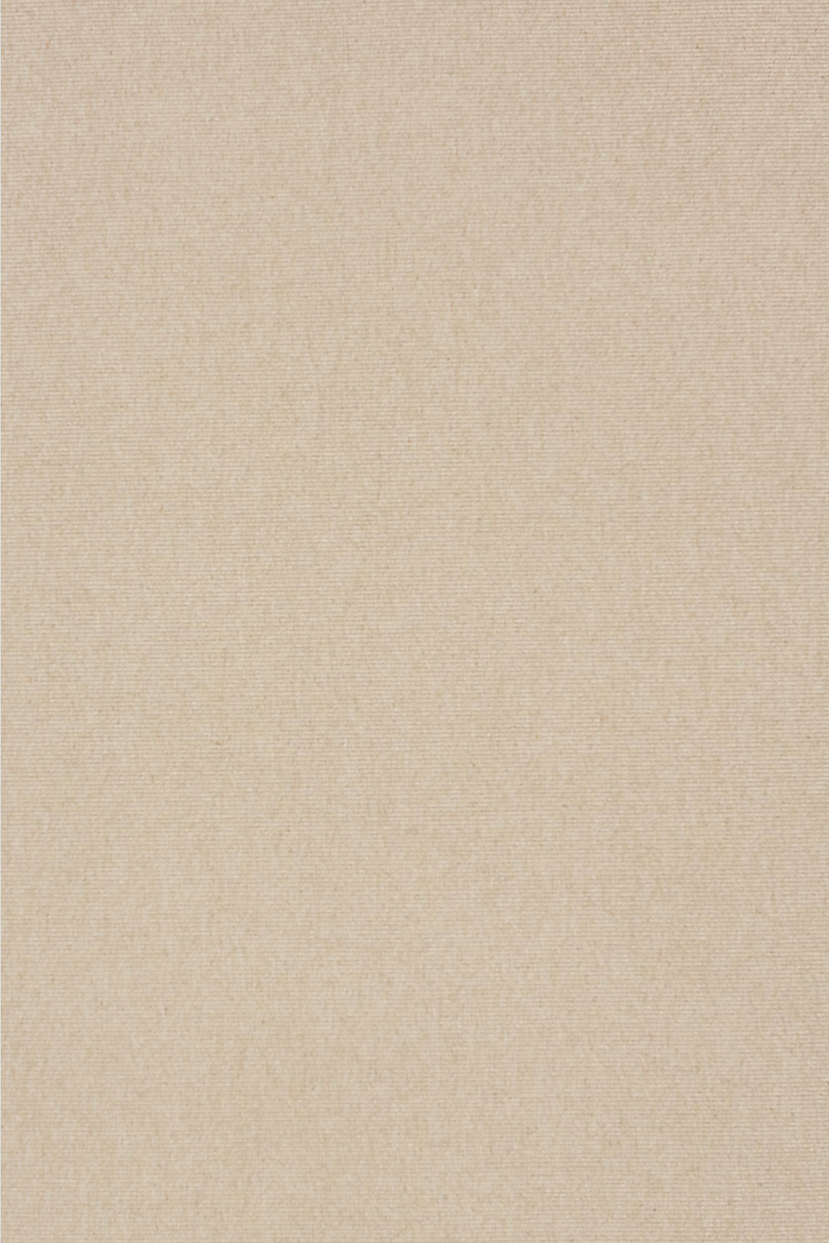 #color_Camel