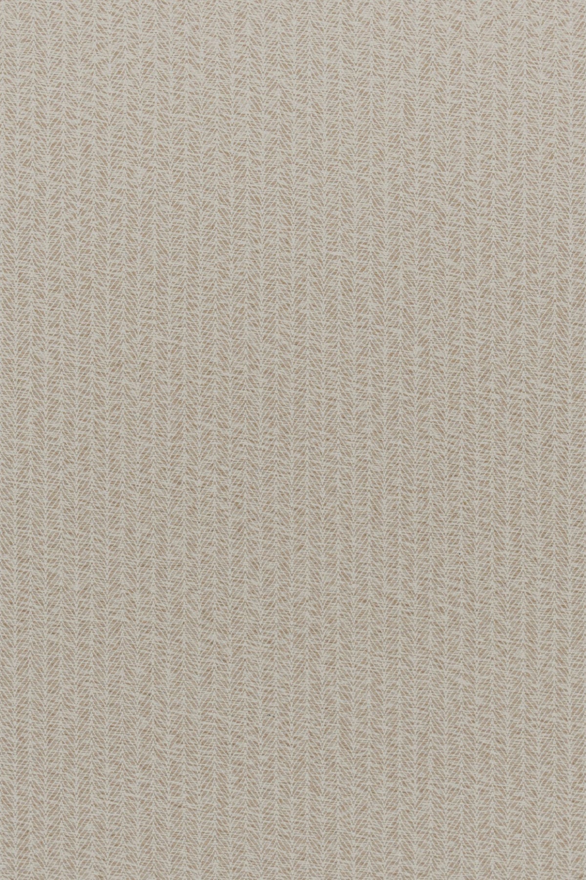 #color_Beige