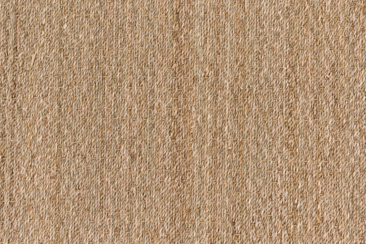#color_Seagrass