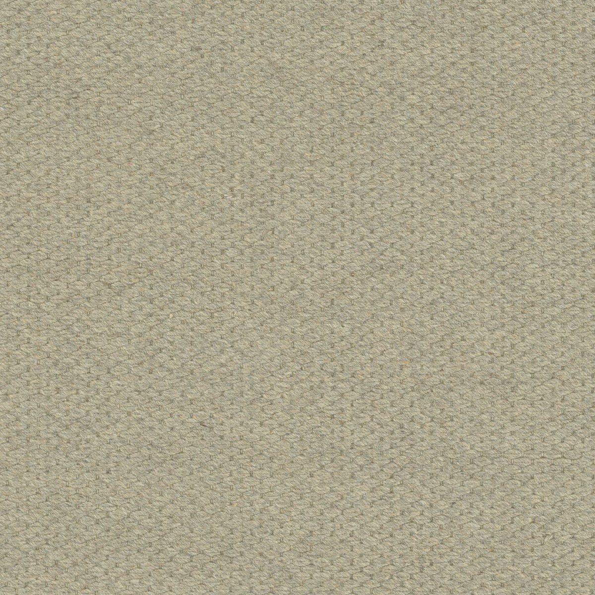 #color_Silver