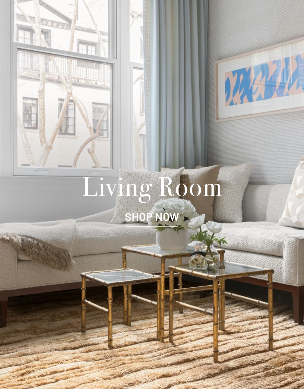 Living room scene with white couch. Text overlay states Living Room with Shop Now under it in white.