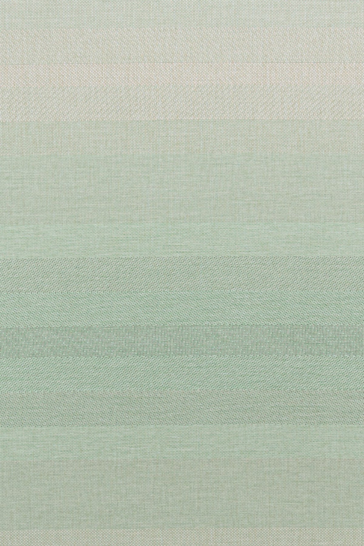 #color_Tropic