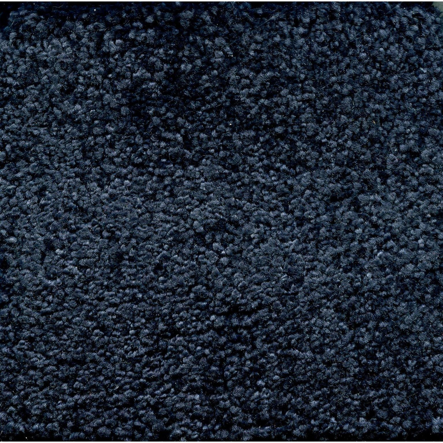 Delbert Nylon Tufted Carpet