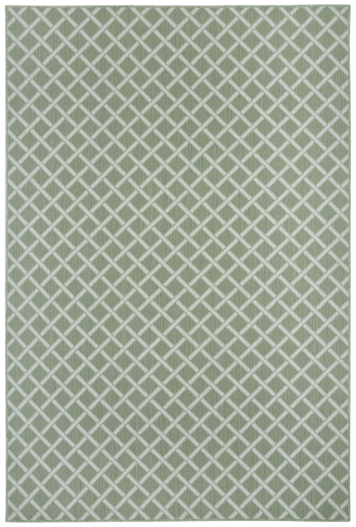 #color_Olive