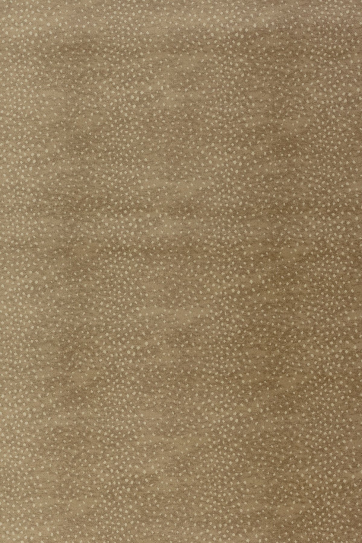 #color_Almond