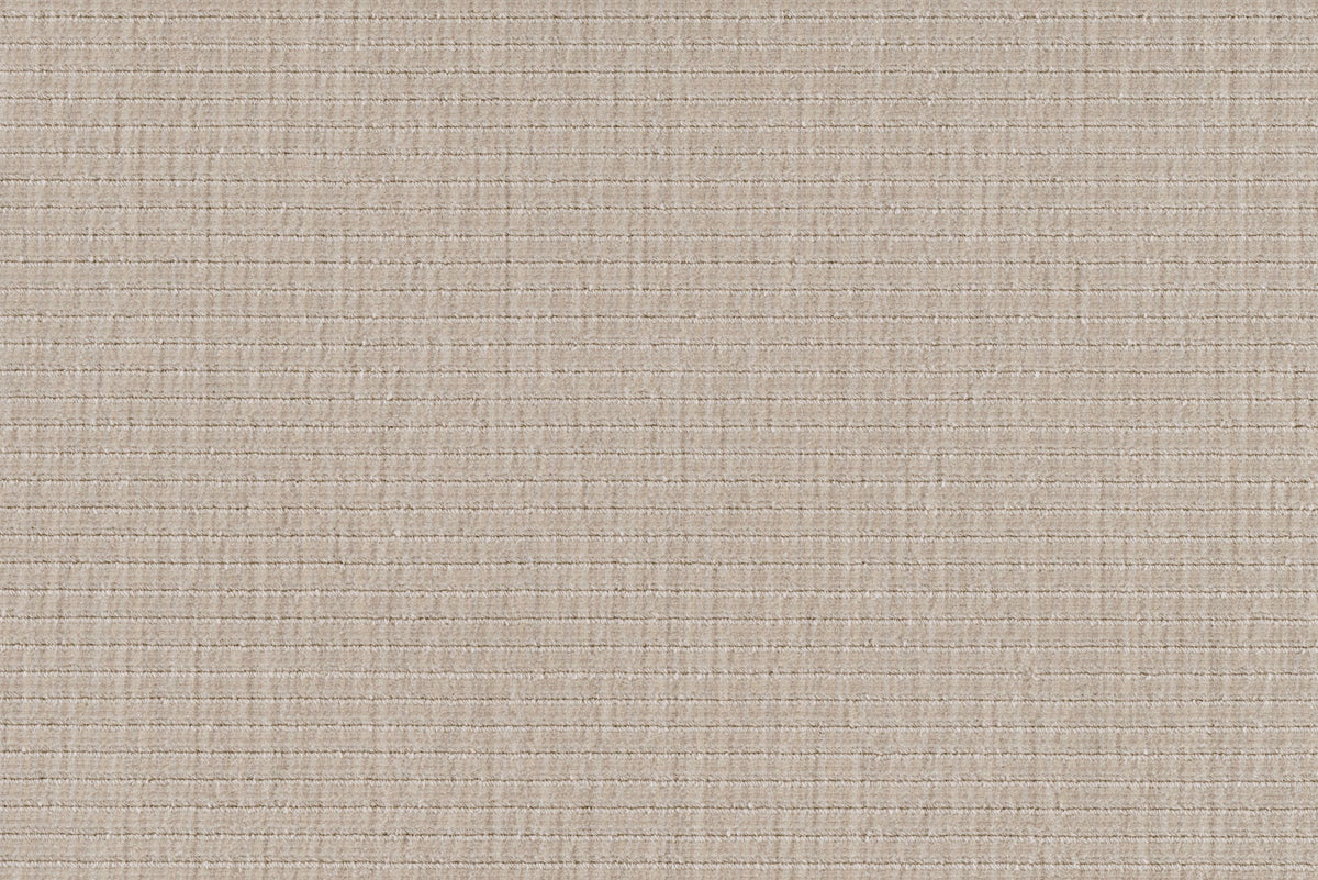 #color_Birch