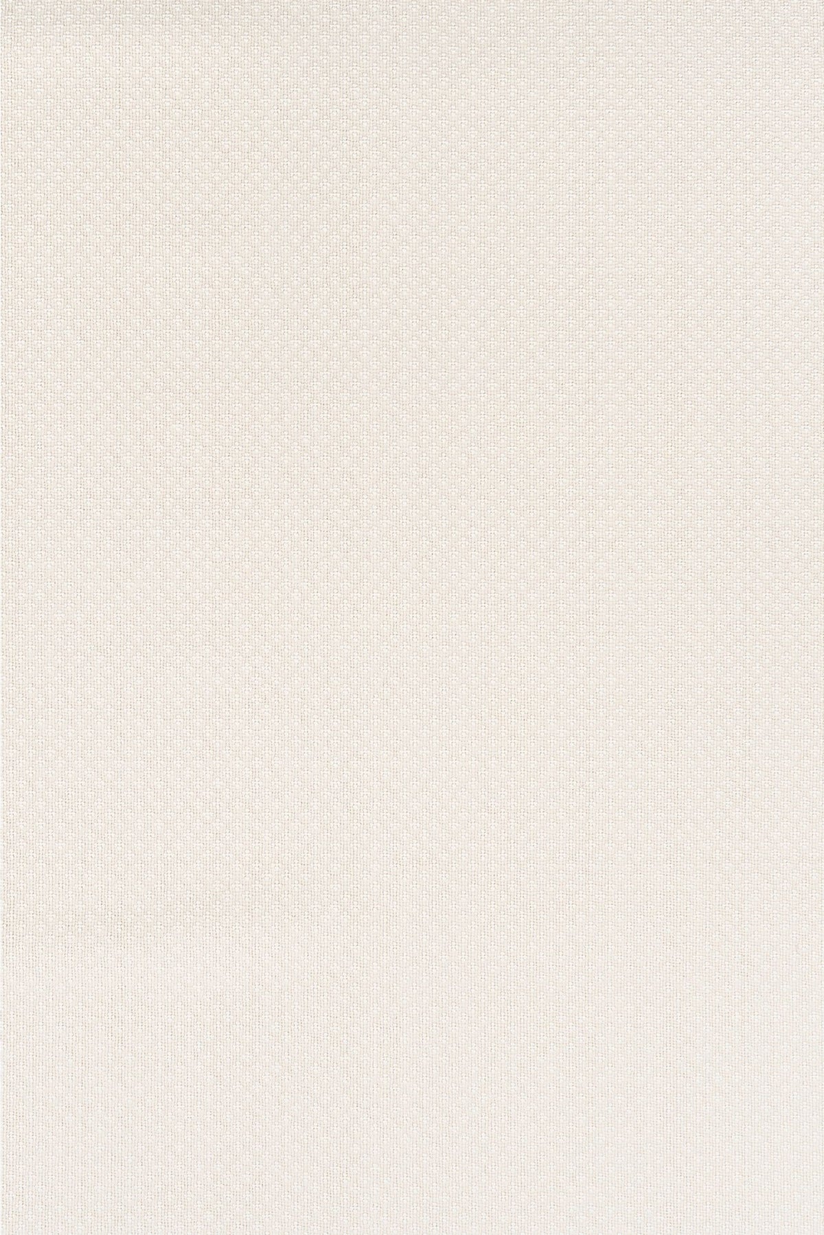 #color_White