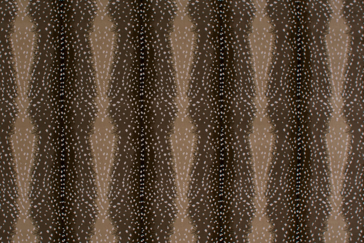 #color_Chocolate