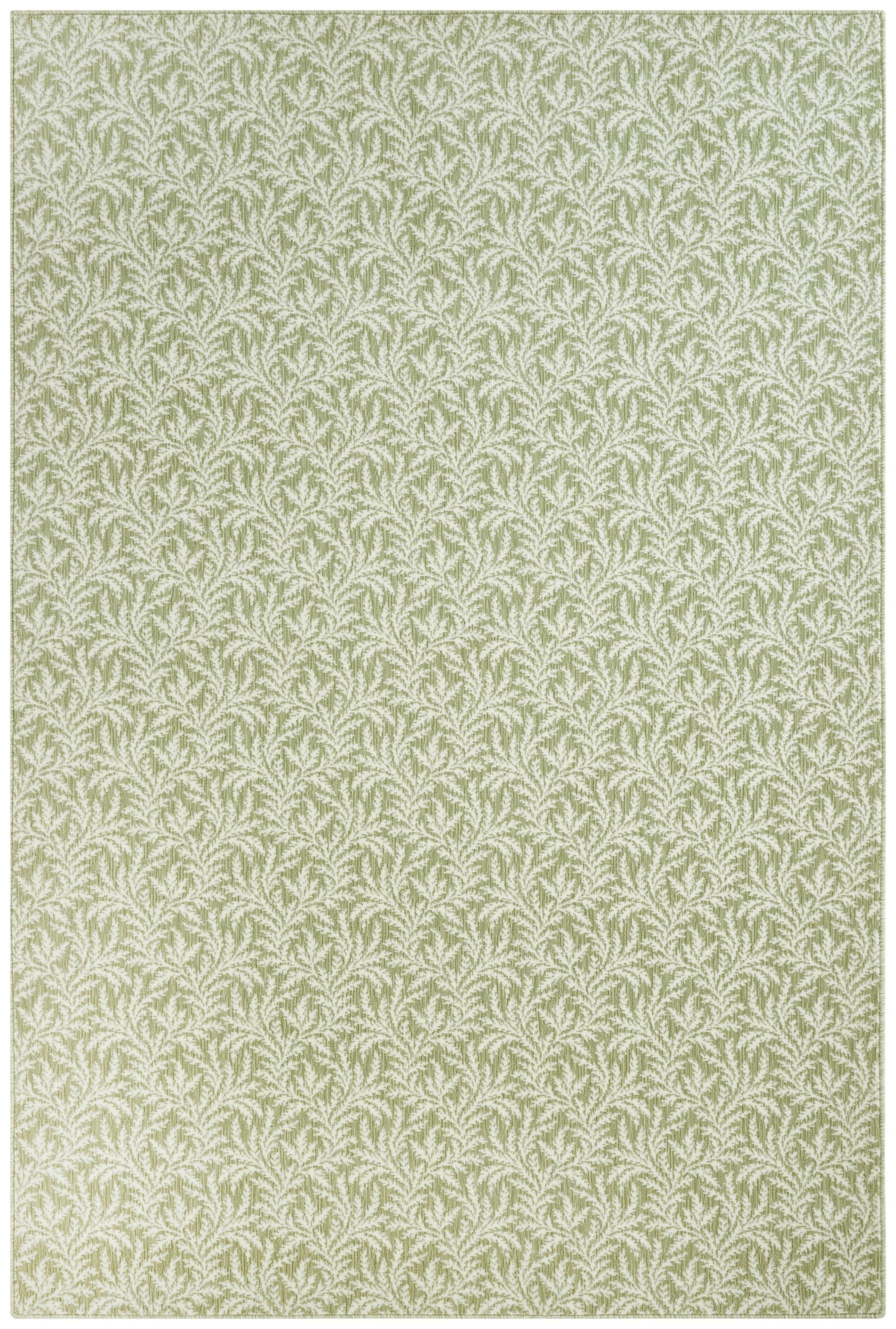 #color_Lichen