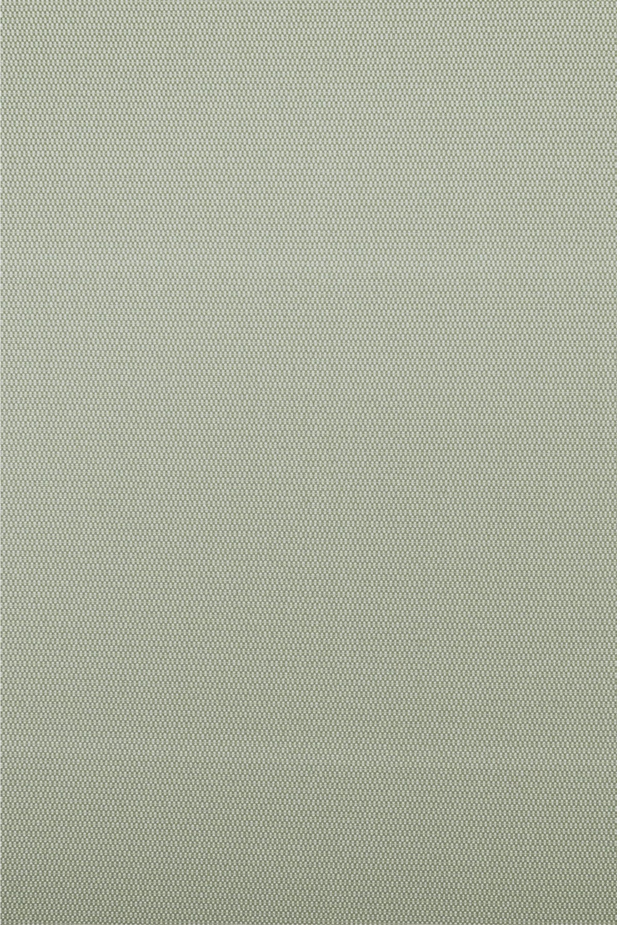 #color_Sage