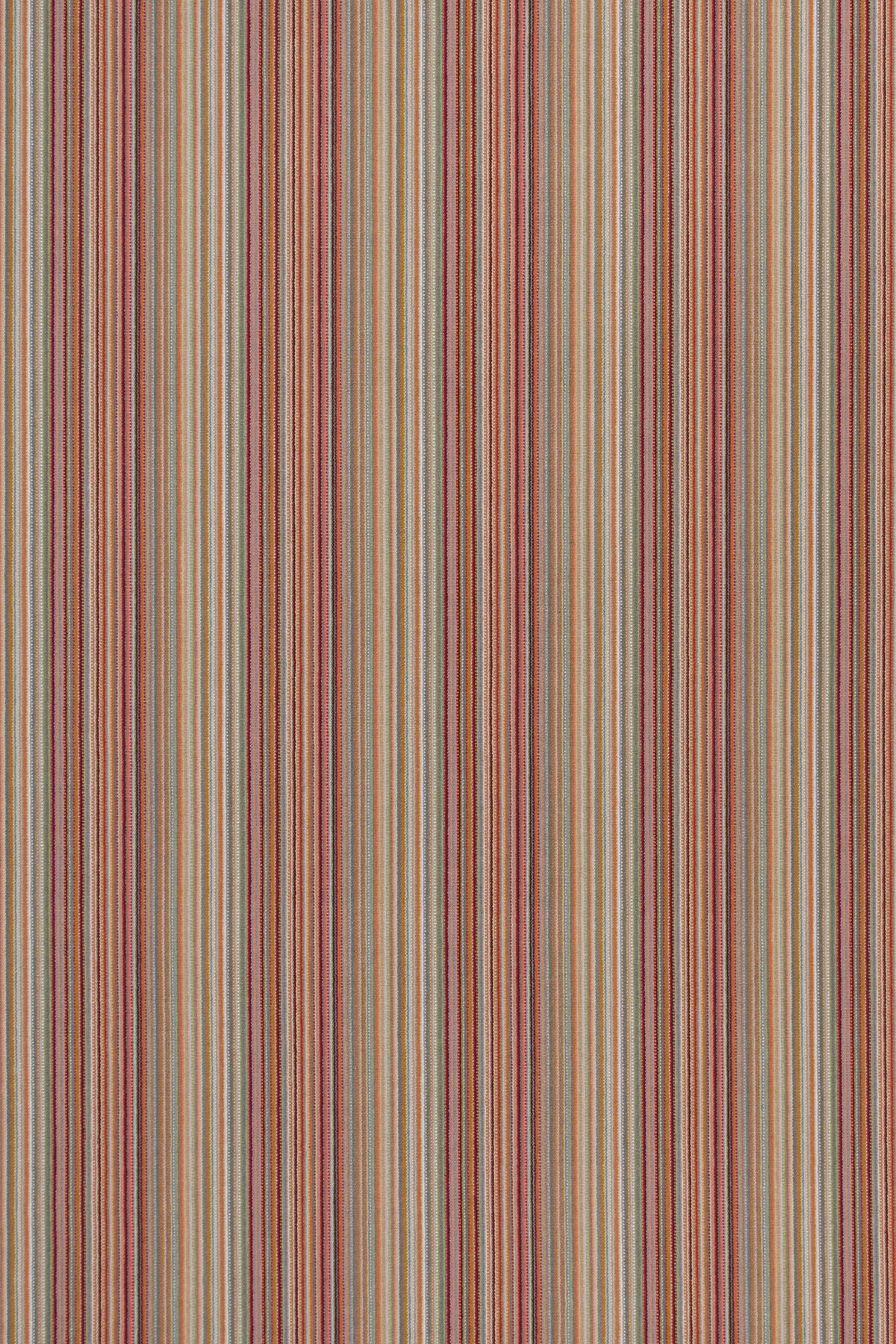 #color_Multi