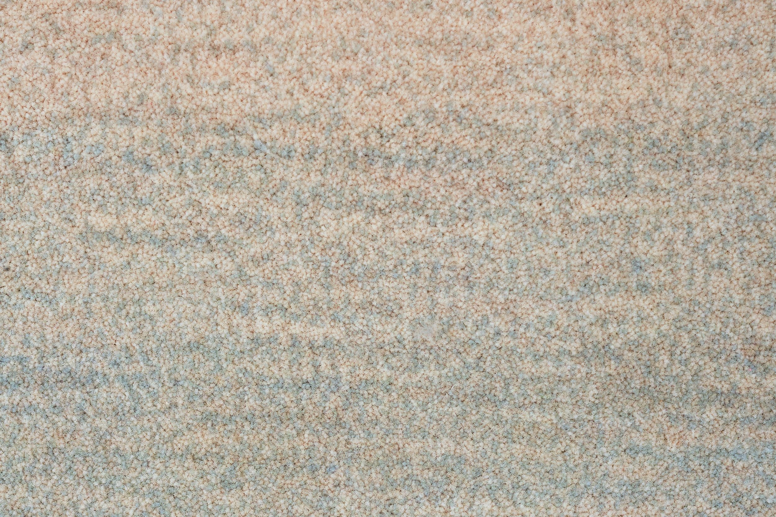 #color_Shell
