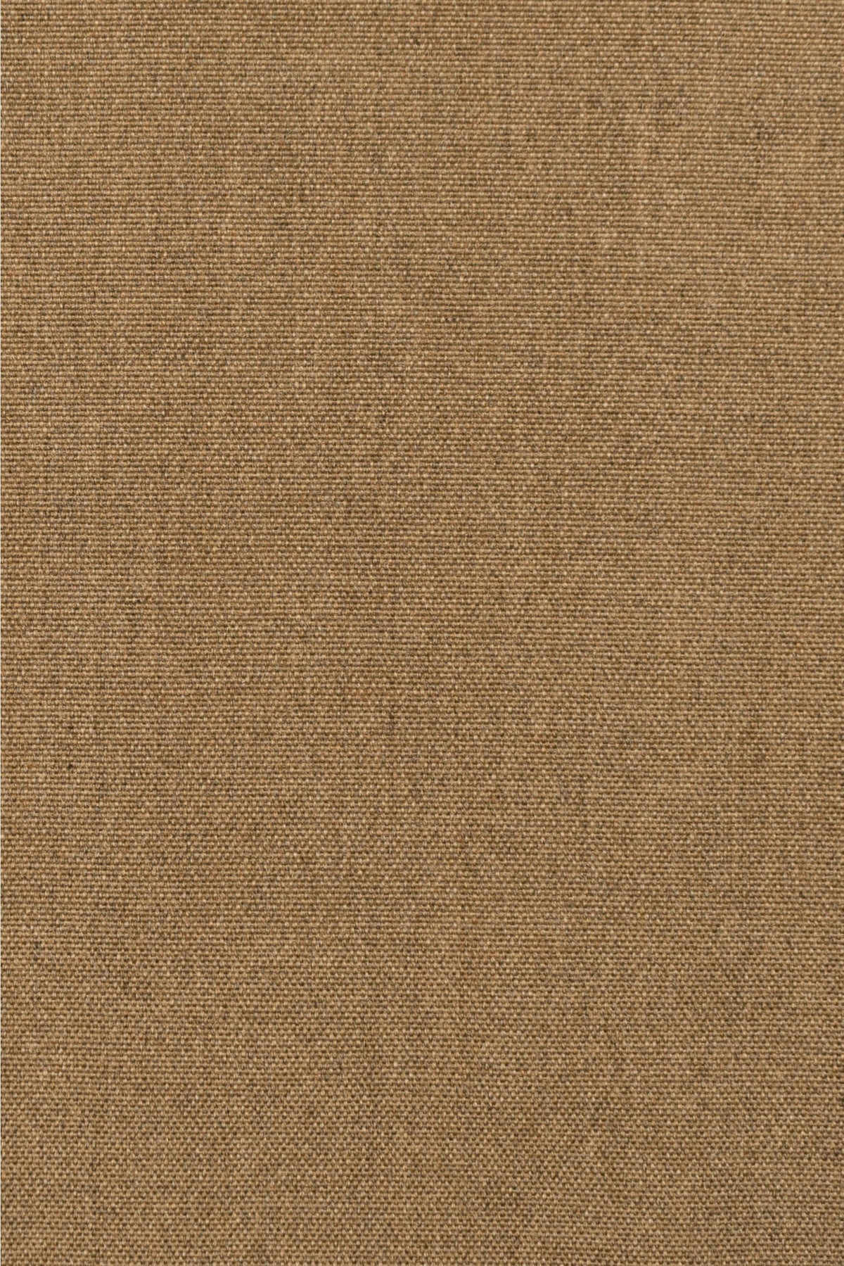 #color_Sienna